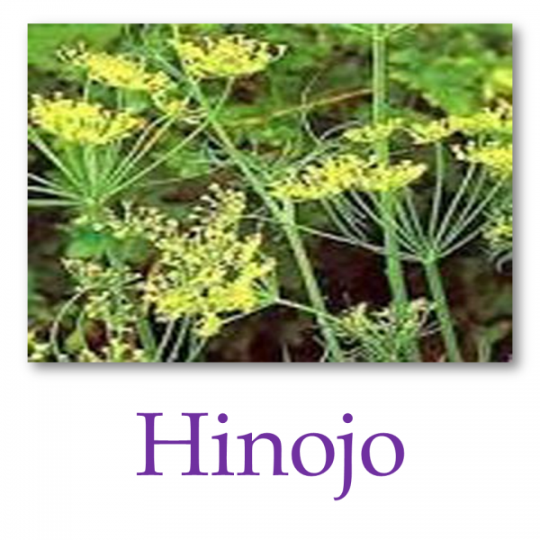 Hinojo