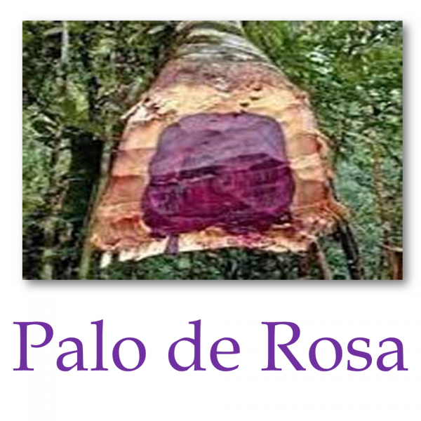Palo de Rosa